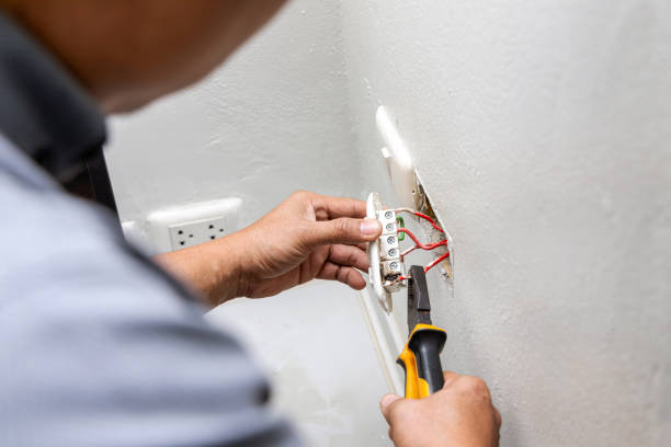 Best Ceiling Fan Installation Electrician  in Robstown, TX